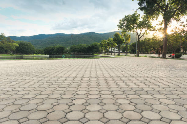 Best Best Driveway Pavers  in Wilson, WY